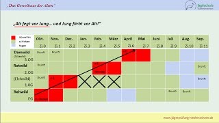 Jägerprüfung Niedersachsen Das Geweihaus der Alten [upl. by Ahsinnor]