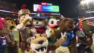 Watch the Pac12 Mascots dance off on the field at Levis Stadium in VR180 [upl. by Eidur478]