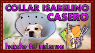 ¡Crea un collar isabelino a medida Tutorial paso a paso para perros en recuperación [upl. by Jammal133]