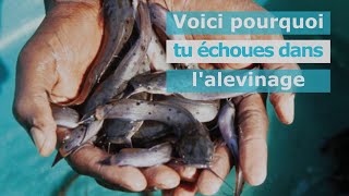 comment réussir lalevinage [upl. by Maryl]