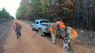 Arkansas Deer Hunting with Dogs 12 Hunts with Kill Shots [upl. by Boeschen582]