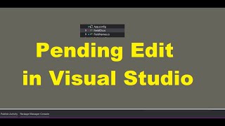 Pending Edit in Visual Studio [upl. by Anilejna908]