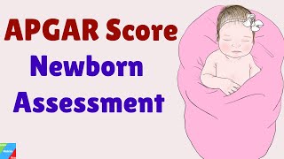 APGAR Score Mnemonic Explained  APGAR Score Assessment  APGAR Score Newborn  Pediatrics Lectures [upl. by Aplihs]