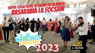 NOU 2023 Formatia Basarabia🔴 Colaj Hore si Sarbe Ca La Nunta ❗❗❗ [upl. by Dunson568]