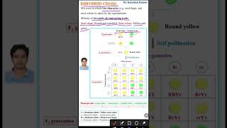 Dihybrid cross  Genetics class 12 [upl. by Ytok]