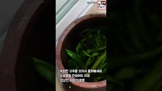 초간단 고추삭히기 Salted pepper 소금물 끓이지 않아두 되유 잠생이부인 [upl. by Wilda735]