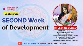 Lecture on Second Week of Development [upl. by Shull]