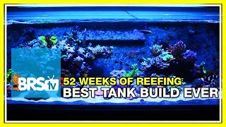 Week 1 Our Best Reef Tank Build Yet  52 Weeks of Reefing [upl. by Lissak225]