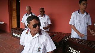 TIKITA TIKITA MARIMBA MUNICIPAL DE COMAYAGUA [upl. by Anirbes]