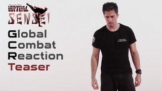 Ninjutsu self defense  Teaser  Joseph Arlettaz [upl. by Hnacogn]