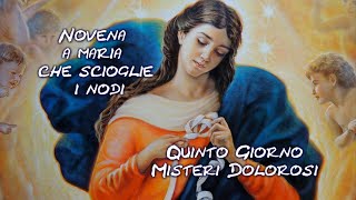 Novena a Maria che Scioglie i Nodi  Quinto Giorno  Misteri Dolorosi [upl. by Calvo]