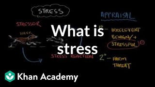 What is stress  Processing the Environment  MCAT  Khan Academy [upl. by Gagne221]