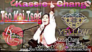 Tso Koj Tseg  Kassie Chang  1st Album [upl. by Chessy]