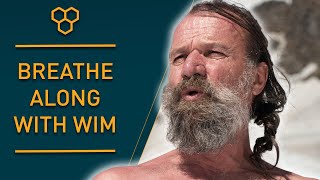 Breathe Along with Wim Hof  Guided Breathing [upl. by Enehpets]