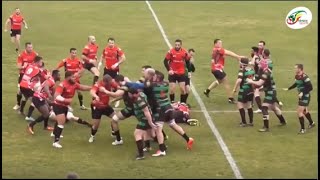 Bagarre générale Quand les supporters se battent avec les joueurs en plein match [upl. by Isnyl]