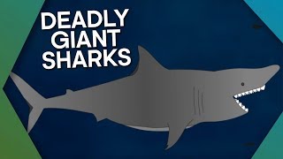 Megalodon The Most Ferocious Giant Shark In History  Earth Unplugged [upl. by Arreit37]