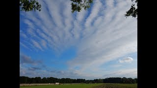 Weerbericht vrijdag Zomers tot tropisch weekend [upl. by Nedah]