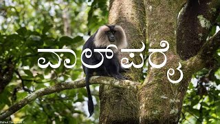 VALPARAI  2nd PUC  KANNADA LESSON EXPLAINED [upl. by Vonni327]