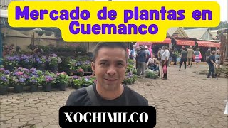 Mercado de plantas en Cuemanco Xochimilco [upl. by Opalina641]