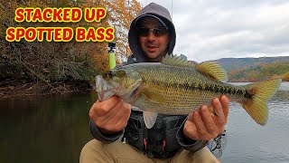 I FOUND THEM Bass Fishing OCOEE River [upl. by Arodnahs]