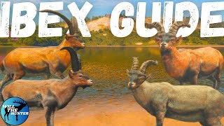 The Ultimate Ibex Zone Guide For Cuatro Colinas TheHunter Call Of The Wild 2023 [upl. by Obe]