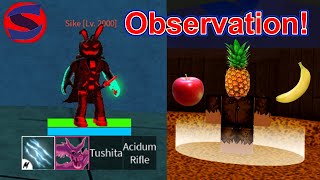 How To Get Observation Haki V2 Blox Fruits [upl. by Nylanna261]