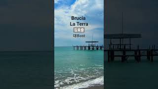 Brucia La Terra 대부ost김호중 [upl. by Cheston]