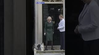 A look at some of Chief Mouser Larry the Cats best moments at Downing Street [upl. by Enileqcaj]