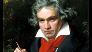 Ludwig Van Beethovens 5th Symphony in C Minor Full [upl. by Eimilb]