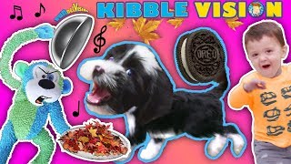 OUR PUPPY DOG TALKING ABOUT FOOD  FUNnel Vis OREO Songs Compilation Vlog  Climbing Wall T [upl. by Cand]