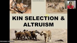 KIN SELECTION amp ALTRUISM [upl. by Euqinorev]