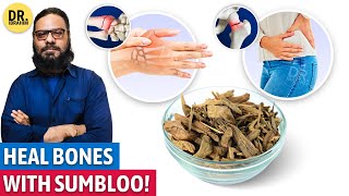 Sumbloo Booti Ke Fawaid  Indian Berberry Benefits for Bones  Sumbal  Dr Ibrahim [upl. by Cully520]