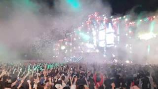 LiveVVIP 라운지 뷰 Alan walker  The Spectre  World DJ Festival Korea 2017  알렌워커 Spectre 월디페 2017 [upl. by Iva]