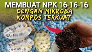 NPK PLUS ZPT DENGAN MIKROBA KOMPOS PALINH KUAT  PUPUK MENGKUDU [upl. by Woodall]