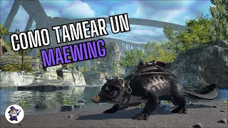 COMO TAMEAR UN MAEWING ARK [upl. by Madson]