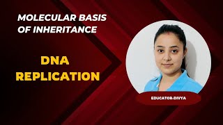 DNA Replication  Molecular Basis of Inheritance  NEET 2024  Bio  NCERT [upl. by Ahras324]