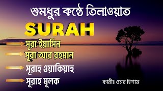 শুমধুর কন্ঠে তিলাওয়াত  Surah YasinSurah Ar Rahman Surah Al Waqiah Surah Mulk  Omar Hisham [upl. by Jamison]