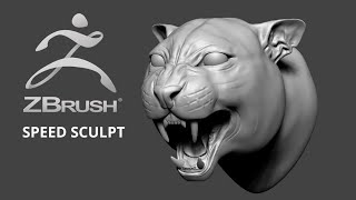 Zbrush Speed Sculpt  Leopard head [upl. by Eux]