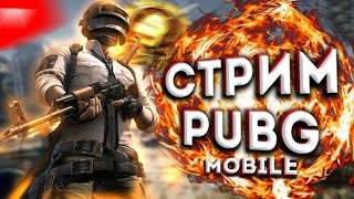 SOLO ZAVIK BOSAMIZ  PUBG MOBILE UZBEKISTAN [upl. by Masera]