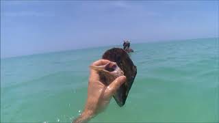 SNORKELING AT BOCA GRANDE  GASPARILLA ISLAND FL [upl. by Obie585]