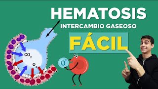 Qué es HEMATOSIS  Intercambio Gaseoso ✅ FÁCIL [upl. by Netneuq]