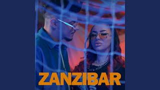 ZANZIBAR feat Adrian Norocel [upl. by Ahsieket]