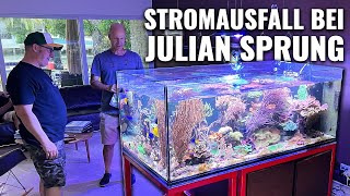 Was tun bei Stromausfall  Aquaristiktalk mit Julian Sprung [upl. by Gallagher31]