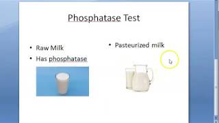 Phosphatase Test for milk Test for efficiency of Pasteurization of milkAlkaline Phosphate Test Kit [upl. by Cheston]