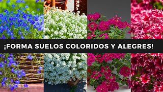 ¡9 PLANTAS TAPIZANTES con MUCHAS FLORES😍🌺🌸🌼 Llena de COLOR tus SUELOS y CESPED🌿🌵💚🌈 [upl. by Gnilrac612]