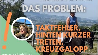 Taktfehler Kreuzgalopp etc  nicht nur eine Lappalie für das Pferd [upl. by Reese]