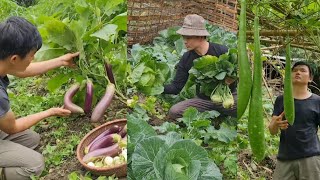 Roberts journey of survival part 2  Growing vegetables successfully Green forest life [upl. by Etra]