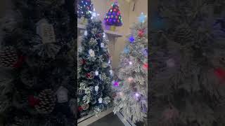 Into Christmas SeasonLets see the beautiful Christmas trees christmas christmastree [upl. by Herates]