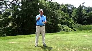 quotSecretquot for Correct Left Arm Position and Vertical Swing Body Friendly Golf [upl. by Minne]