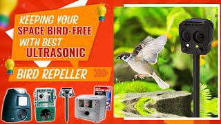 Best Ultrasonic Bird Repeller Keeping Your Space BirdFree Without Harm [upl. by Lidia78]